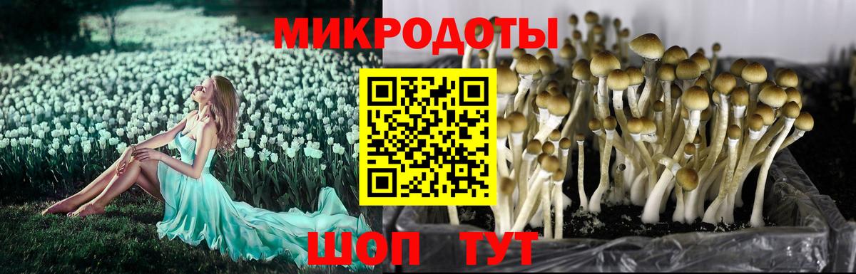 Псилоцибиновые грибы мицелий  Вход с VPN  Псилоцибиновые грибы MAGIC MUSHROOMS  Лесосибирск 
